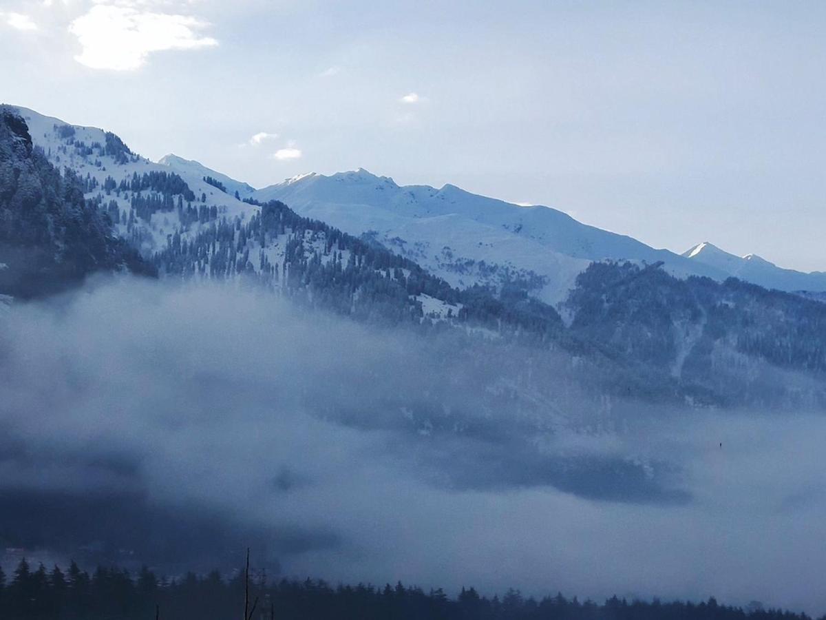 Hotel The Royal Majestic Mountain View Manāli Exterior foto
